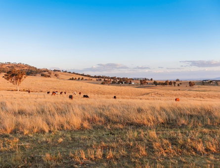 Strathearn Park Lodge, Scone, Australia