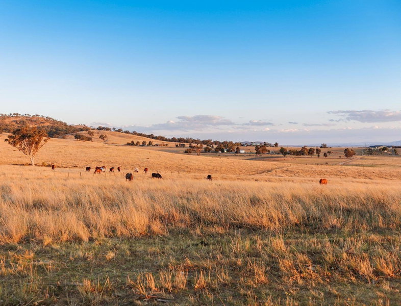 Strathearn Park Lodge, Scone, Australia