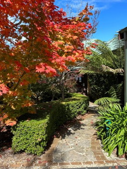 Valley of the Waters B&B, Wentworth Falls, Australia