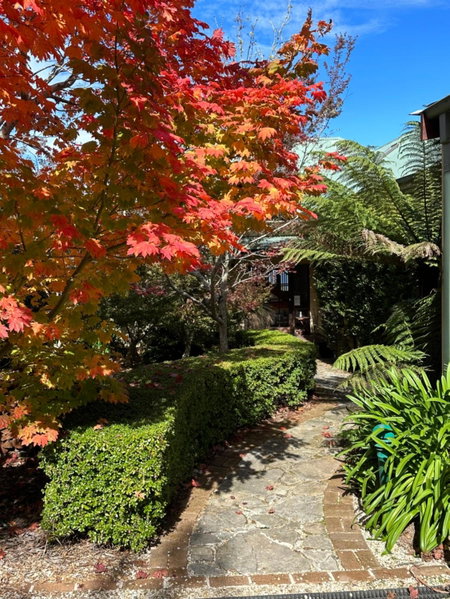 Valley of the Waters B&B, Wentworth Falls, Australia