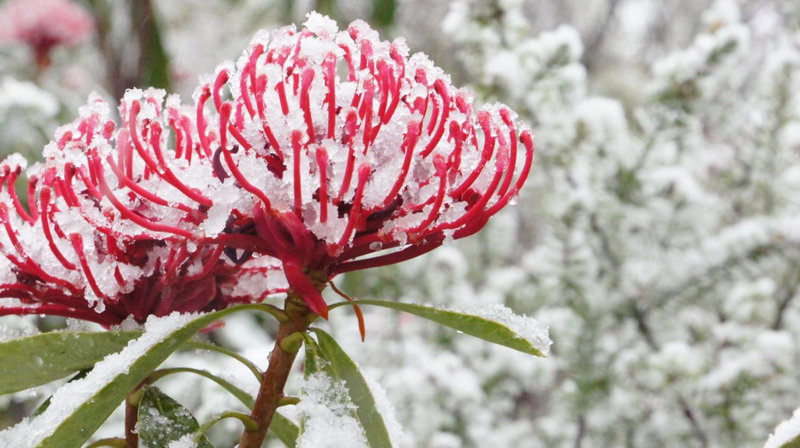 Valley of the Waters B&B, Wentworth Falls, Australia