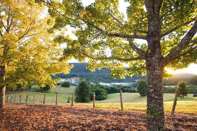 Clarendon Forest Retreat, Taree, Australia
