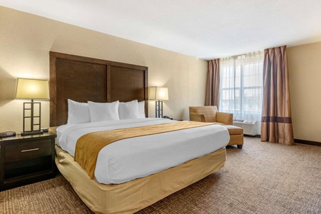 Comfort Inn & Suites Allen Park - Dearborn, Allen Park, United States