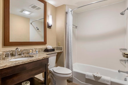 Comfort Inn & Suites Allen Park - Dearborn, Allen Park, United States