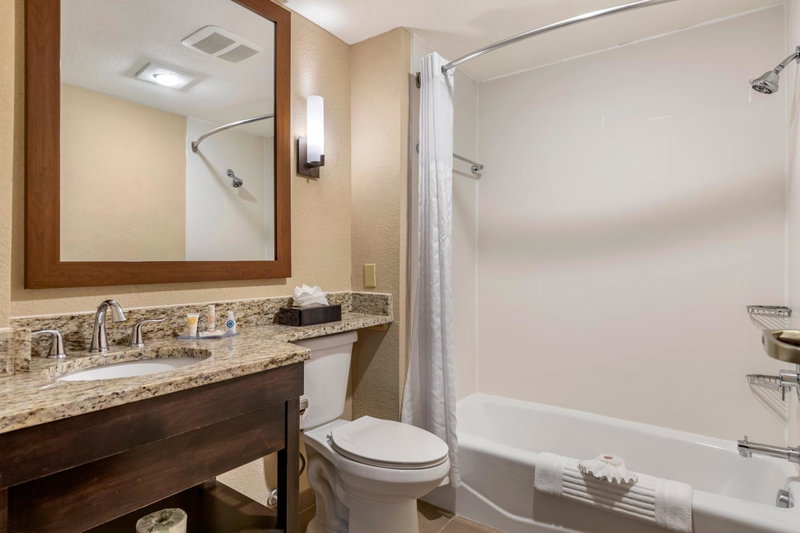 Comfort Inn & Suites Allen Park - Dearborn, Allen Park, United States