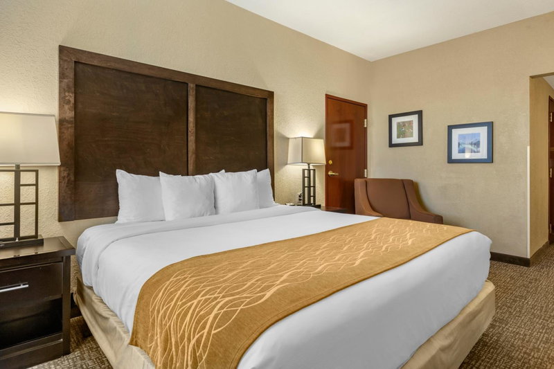 Comfort Inn & Suites Allen Park - Dearborn, Allen Park, United States