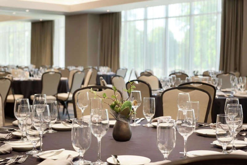 Hilton Garden Inn Rochester - University & Medical Center, Rochester, United States