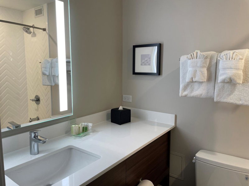 Holiday Inn & Suites Chicago-Downtown by IHG, Chicago Loop, United States