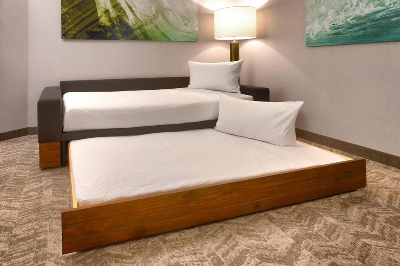 SpringHill Suites by Marriott Idaho Falls, Idaho Falls, United States