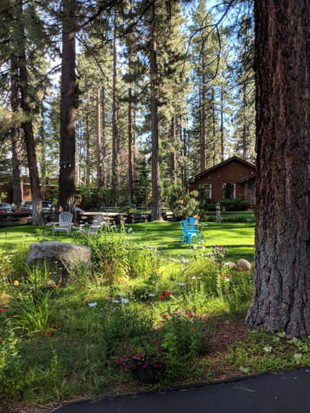 Black Bear Lodge, South Lake Tahoe, Estados Unidos