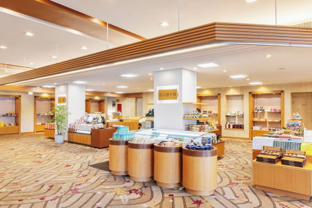 Amanohashidate Hotel, Miyazu, Japan