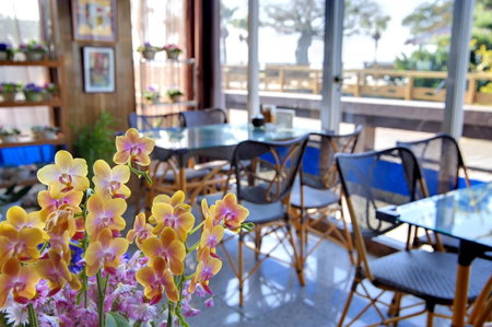 Kagoshima Sunamushionsen Ibusuki Hakusuikan, Ibusuki, Japan