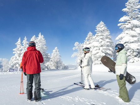 Shiga Kogen Prince Hotel, Yamanouchi, Japan