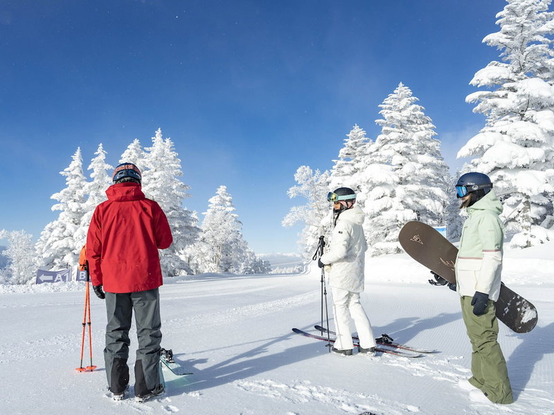 Shiga Kogen Prince Hotel, Yamanouchi, Japan