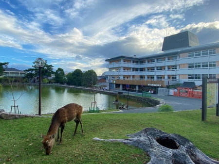 Hotel Tenpyo Naramachi, Nara, Japón