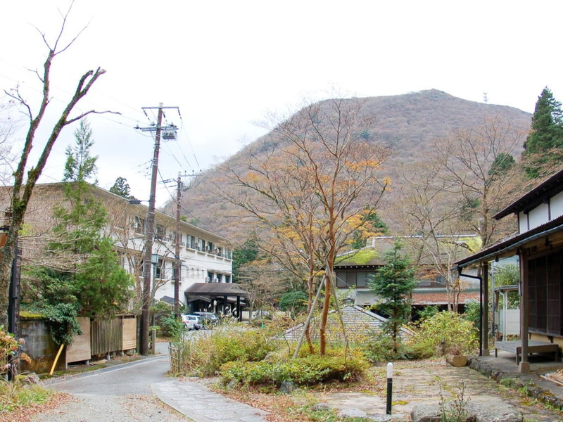 Kinokuniya Ryokan, Hakone, Japan