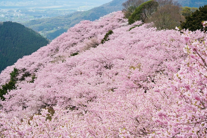 Paysage Moriguchi, Wakimachi, Japan