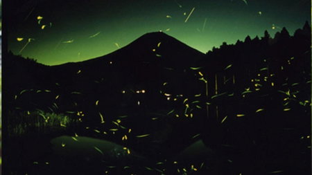 Kyukamura Fuji, Fujinomiya, Japón