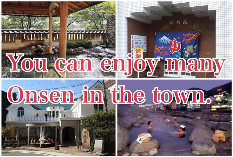 寅家 TORAYA Simple Stay Inn, Gero, Japan