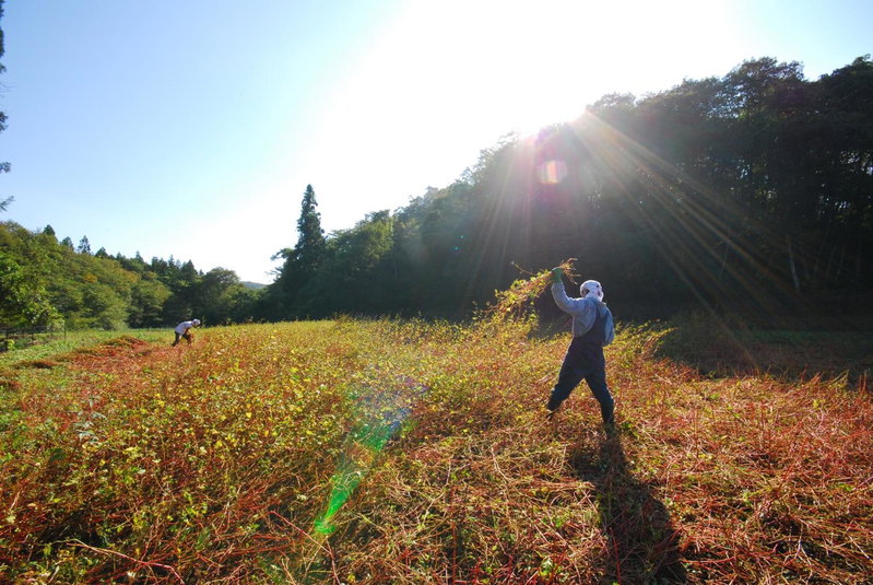 Shizukatei, Ichinoseki, Japan
