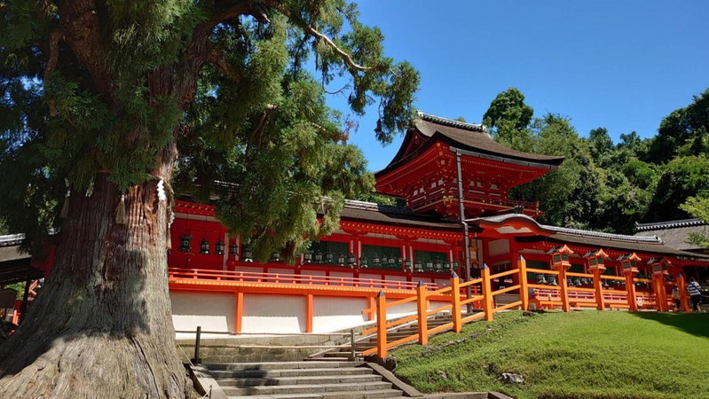 Toyoko Inn Kintetsu Nara Ekimae, Nara, Japón