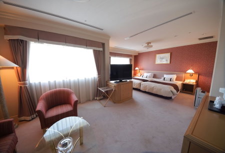 Numazu Riverside Hotel, Numazu, Japan