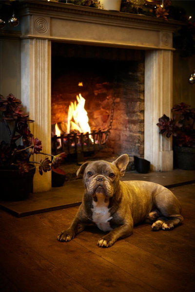 The Ormond At Tetbury, Tetbury, United Kingdom