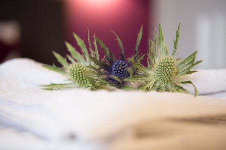 The Spires Serviced Apartments Edinburgh, Edinburgh, United Kingdom