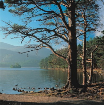 Macdonald Leeming House, Penrith, United Kingdom