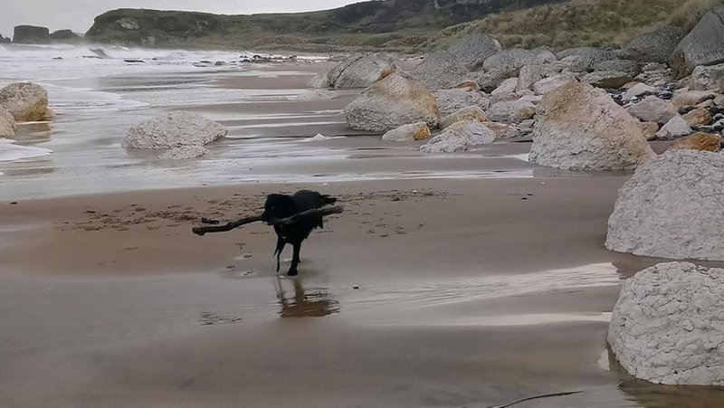 Dunseverick Ramblers Rest, Bushmills, Reino Unido