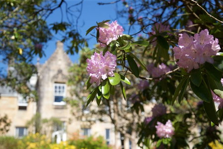 Stonefield Castle Hotel, Tarbert, United Kingdom