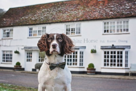 The White Horse, Chichester, United Kingdom