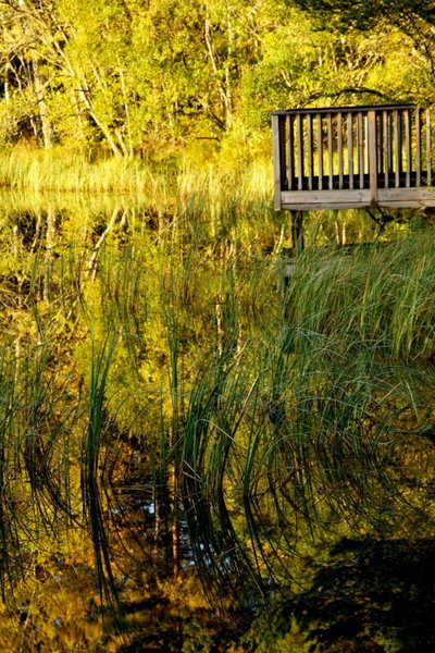 Loch Kinord Hotel, Dinnet, United Kingdom