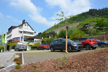 Flair Hotel am Rosenhügel - Garni, Mayen, Germany