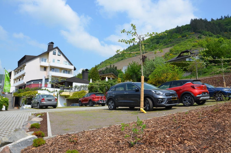 Flair Hotel am Rosenhügel - Garni, Mayen, Germany