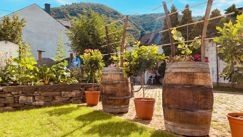 Moselstern-Hotel "Weinhaus Fuhrmann", Ellenz-Poltersdorf, Deutschland