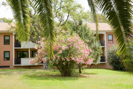 Golf Hôtel de Valescure & Spa NUXE, Saint-Raphaël, Frankreich