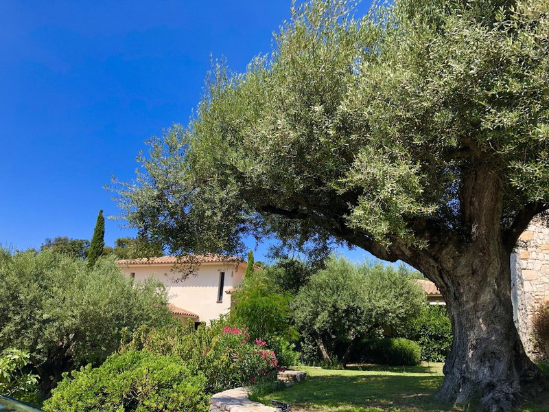 Nature ET Design, Bonifacio, France