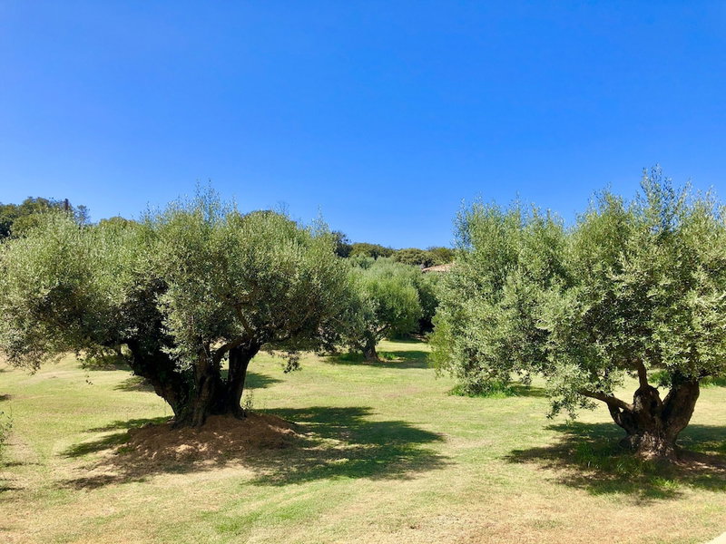 Nature ET Design, Bonifacio, France