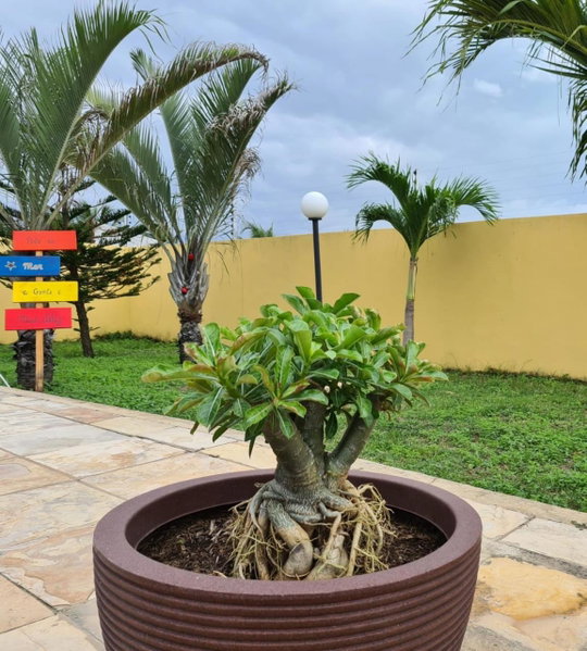 Pousada Sonho de Mar, Luis Correia, Brazil