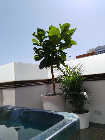 Wavia Hotel - Adults only, Las Palmas de Gran Canaria, Испания