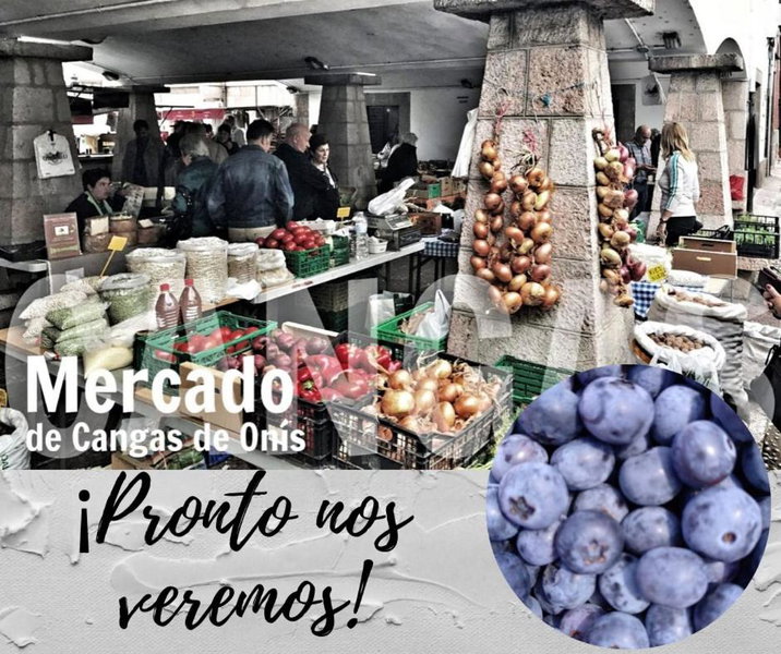 Hotel Ciudad Cangas de Onis, Cangas de Onís, Испания