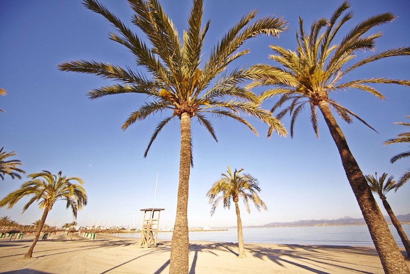 MLL Mediterranean Bay Hotel - Adults Only, Llucmajor, Spanien