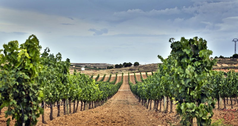 Hotel Tudanca Aranda II, Aranda de Duero, Spain