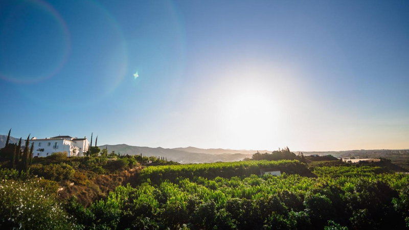 B Bou Hotel Cortijo Bravo, Velez-Malaga, Spain
