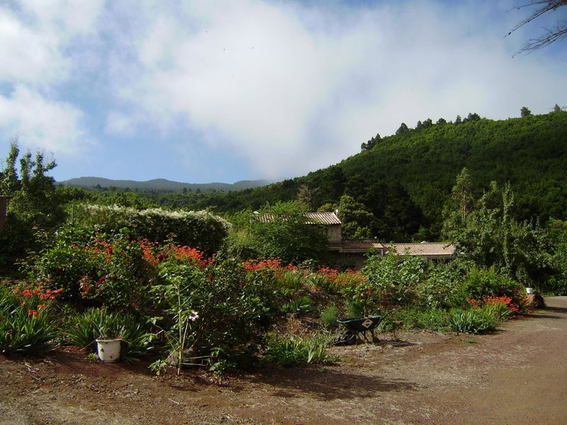 Casa Rural La Gustoza, Sauzal, Spain