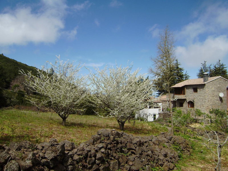 Casa Rural La Gustoza, Sauzal, Spain