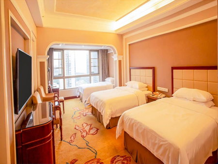Vienna Hotel Shenzhen Songgang Liye Road, Shenzhen, 中国