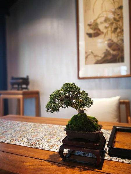 Taimuting Hotel, Suzhou, 中国