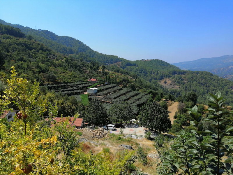 Avena Mountain Hotel - Adults Only, Alanya, Turquía